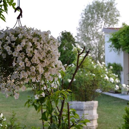Two Elegant Depandance Villa Conscio Buitenkant foto